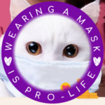wearing a mask is pro-life